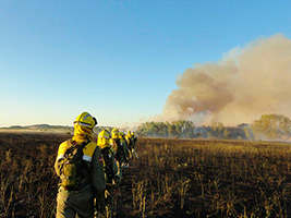 Matinsa obtiene el contrato para el servicio de prevención y extinción de incendios en la Zona Este de la Comunidad de Madrid