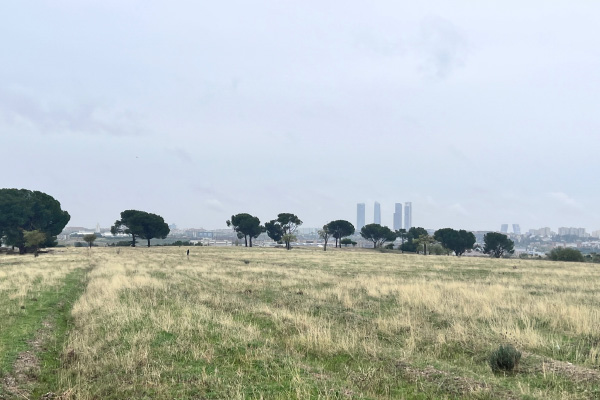 FCC Construcción participa en una visita al proyecto Bosque Metropolitano