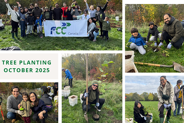 El equipo de FCC Canadá participa en una jornada de plantación de árboles en Toronto