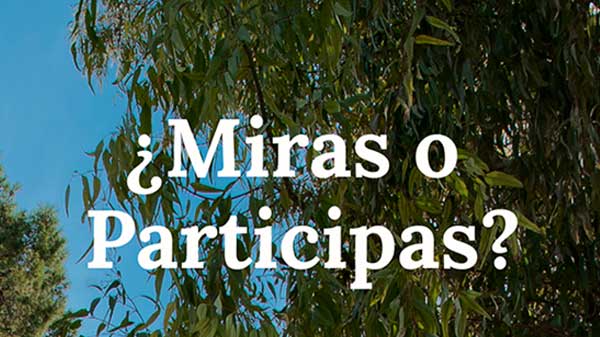 ¿Miras o Participas?, la campaña de concienciación de FCC en la Semana Internacional de los ODS