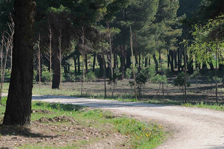 La Vicealcaldesa visita el Bosque Metropolitano ejecutado por FCC Construcción
